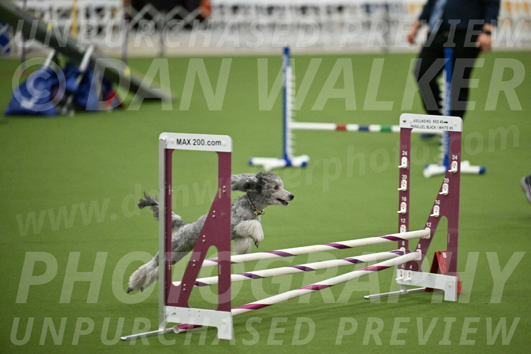 MAS-EX-STD-12-Inch_5183