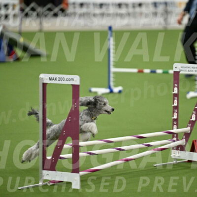 MAS-EX-STD-12-Inch_5183