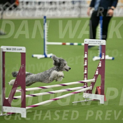 MAS-EX-STD-12-Inch_5184