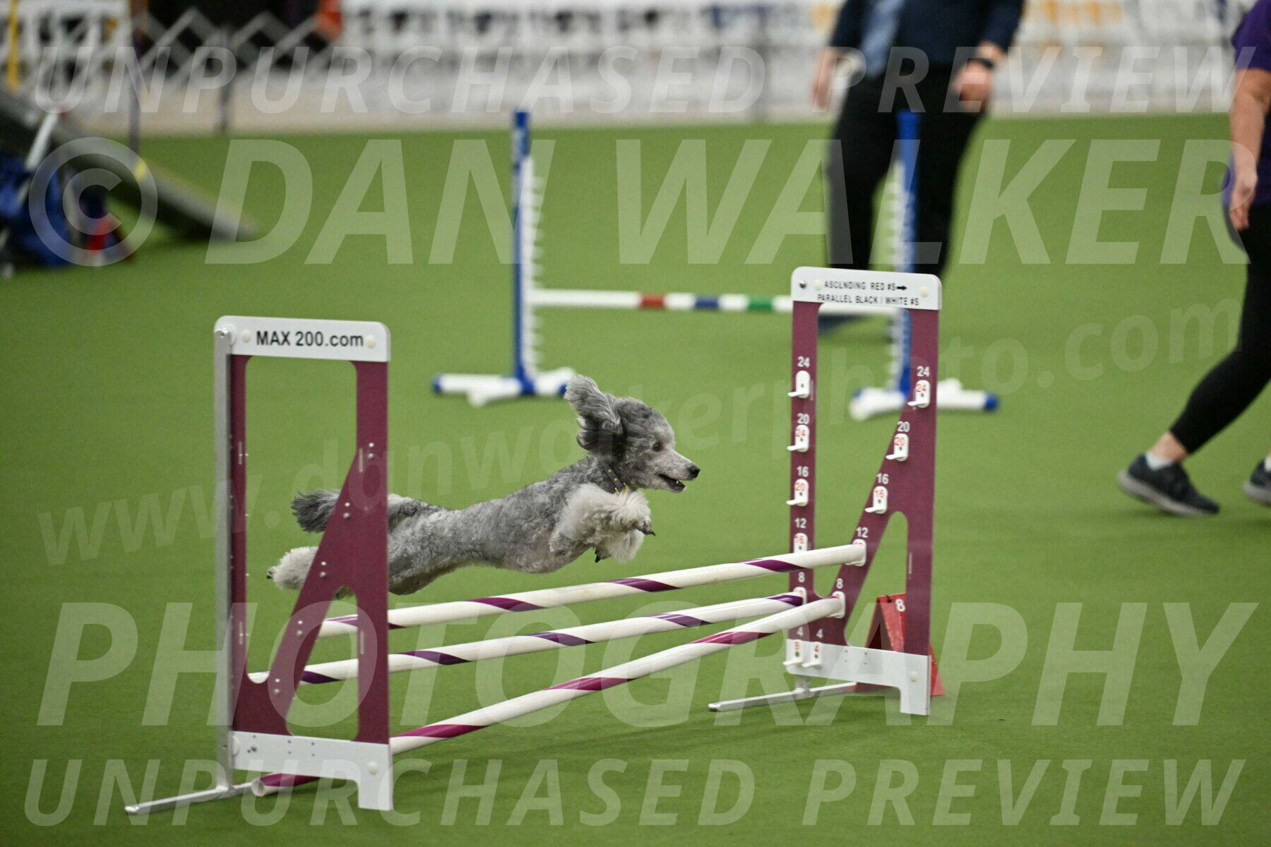 MAS-EX-STD-12-Inch_5184