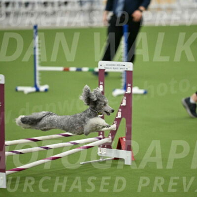 MAS-EX-STD-12-Inch_5185