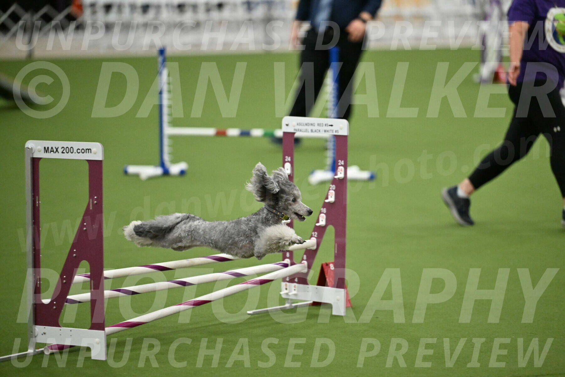 MAS-EX-STD-12-Inch_5185