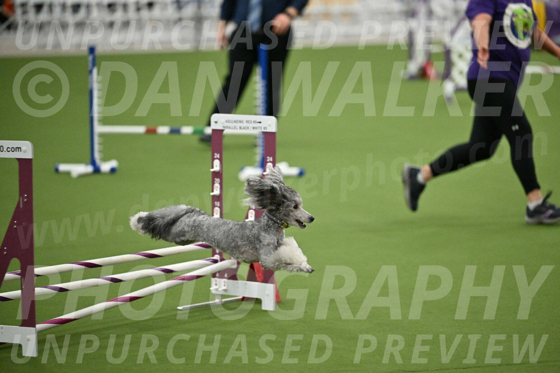 MAS-EX-STD-12-Inch_5186