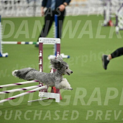 MAS-EX-STD-12-Inch_5186