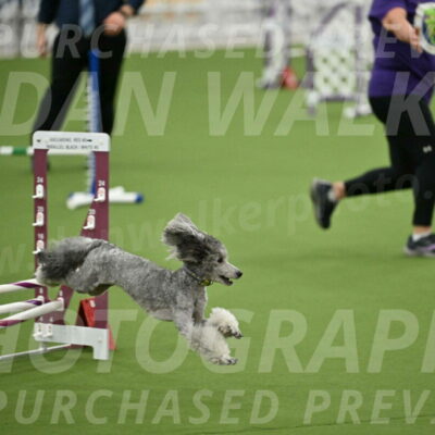 MAS-EX-STD-12-Inch_5187