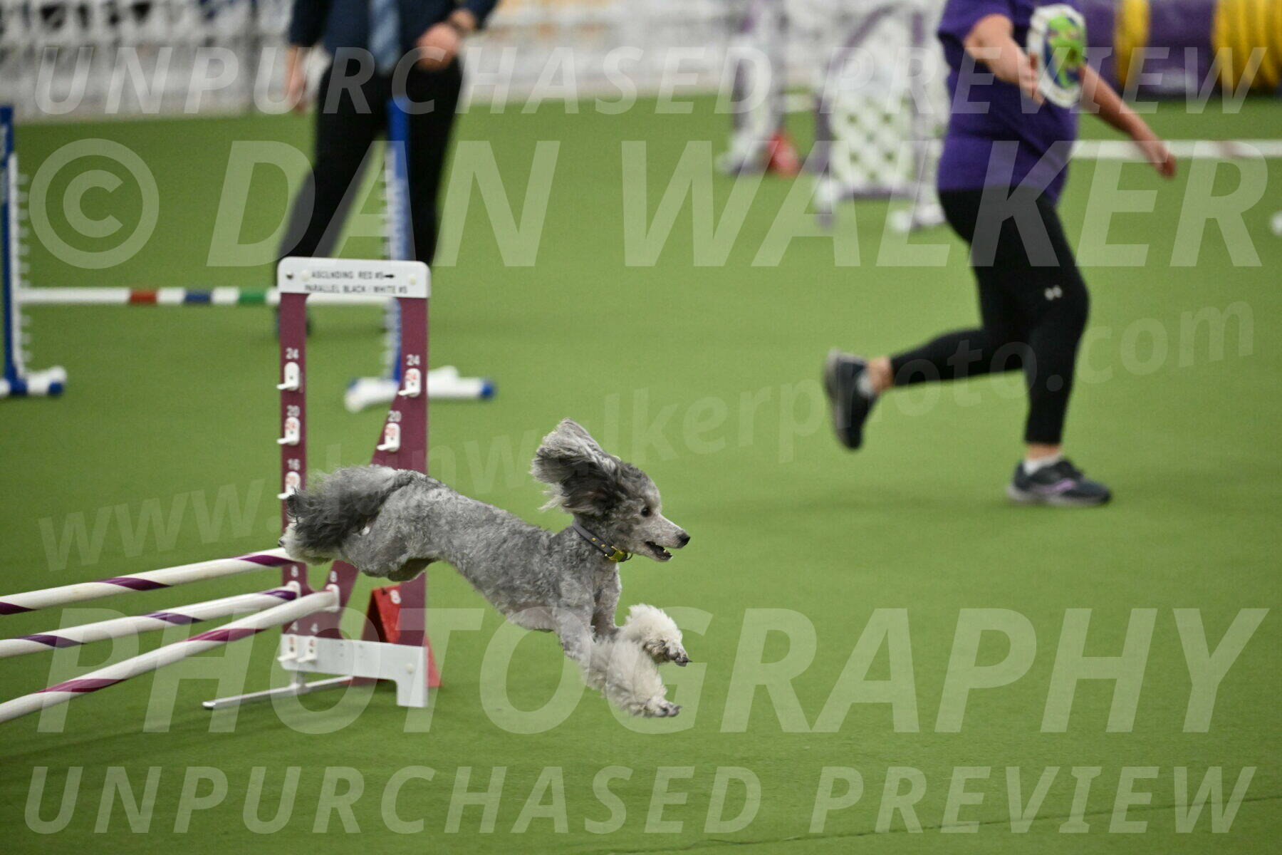 MAS-EX-STD-12-Inch_5187