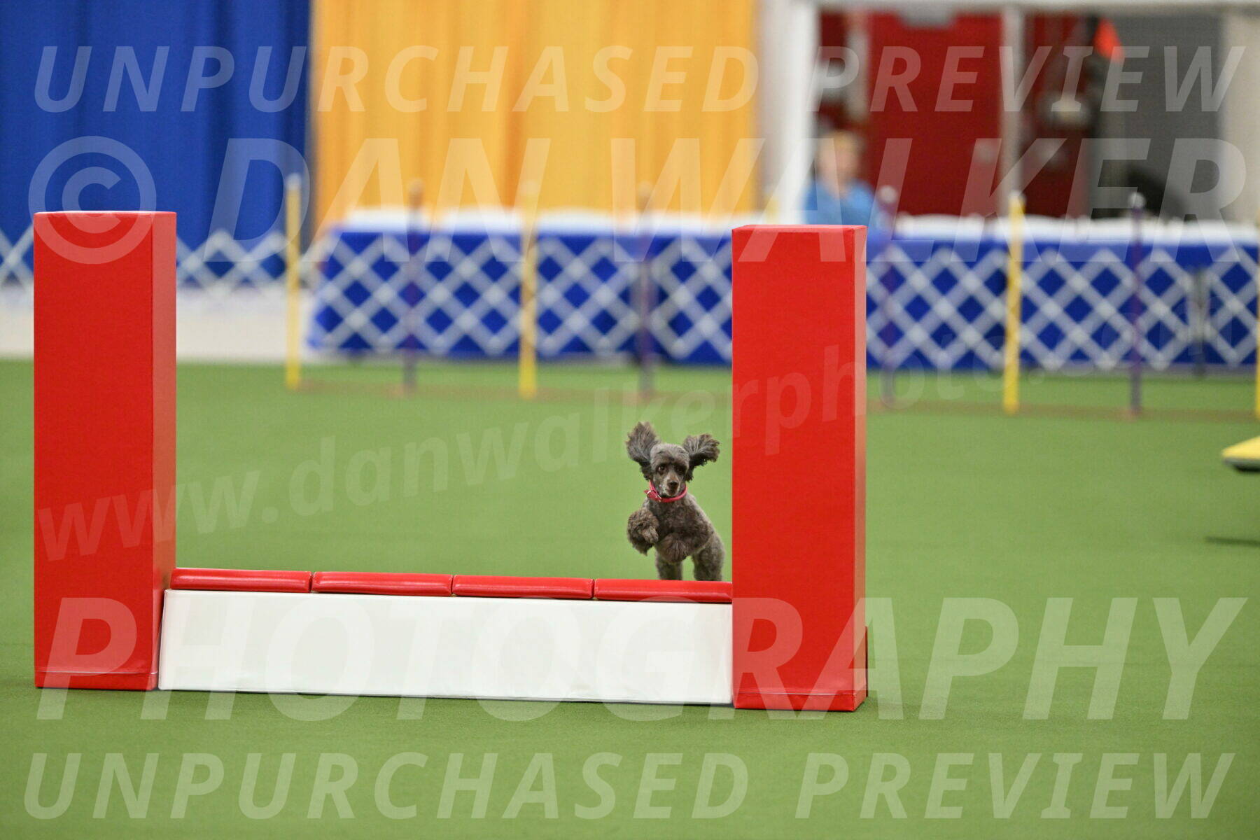 MAS-EX-STD-12-Inch_5192