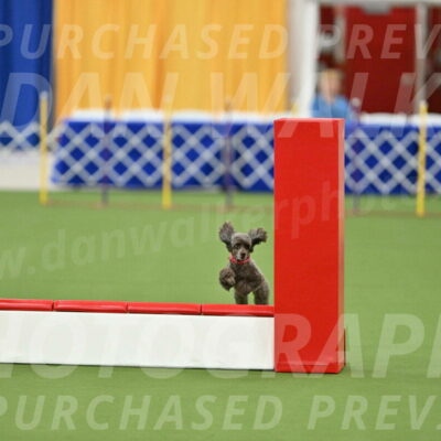 MAS-EX-STD-12-Inch_5192