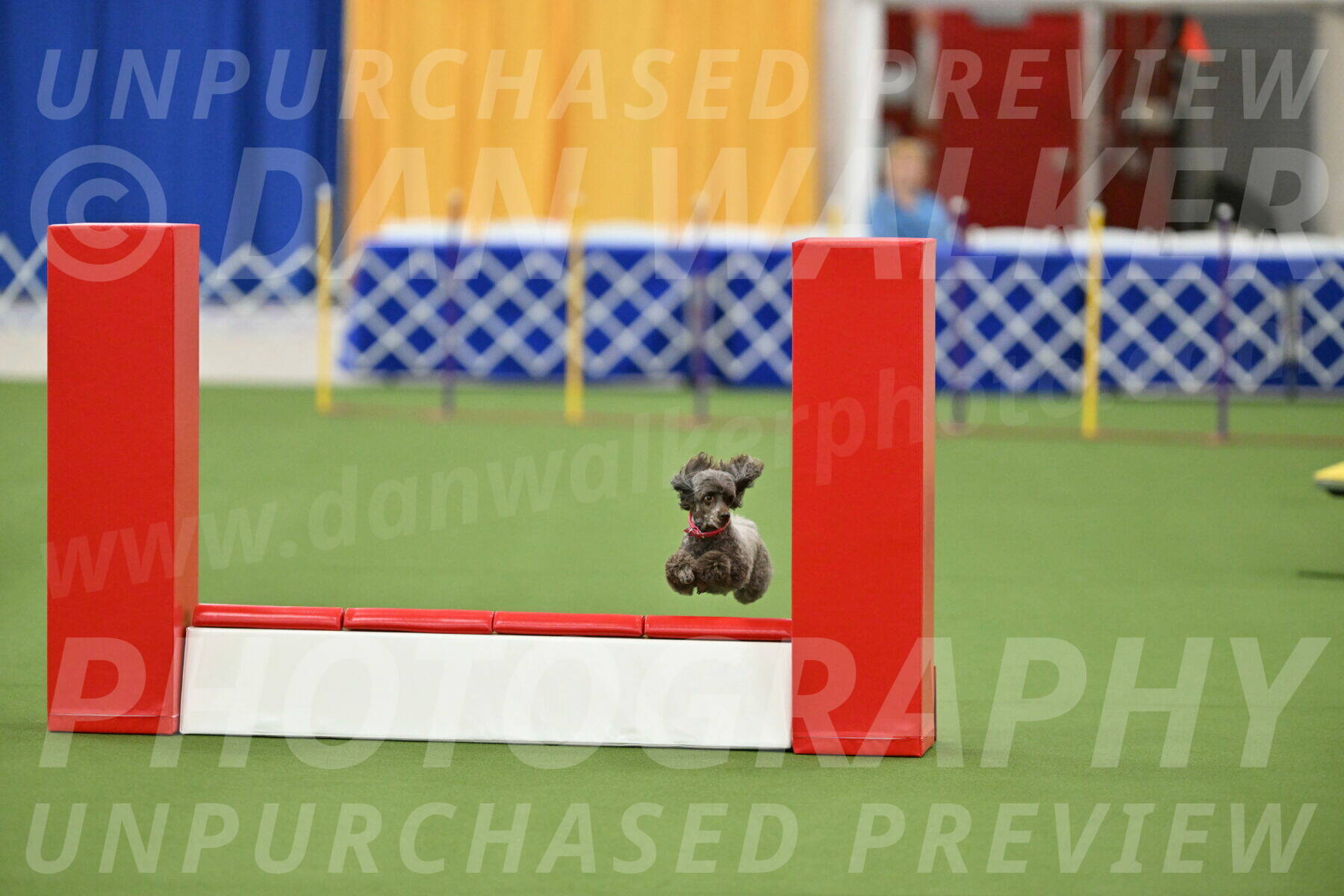 MAS-EX-STD-12-Inch_5193