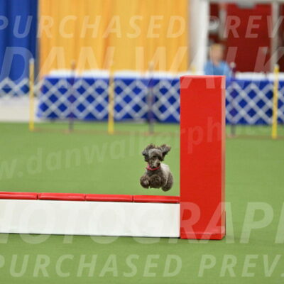 MAS-EX-STD-12-Inch_5193