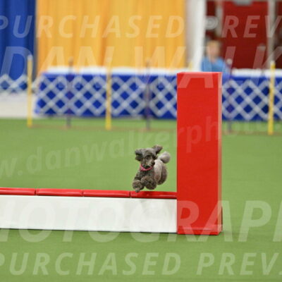 MAS-EX-STD-12-Inch_5194