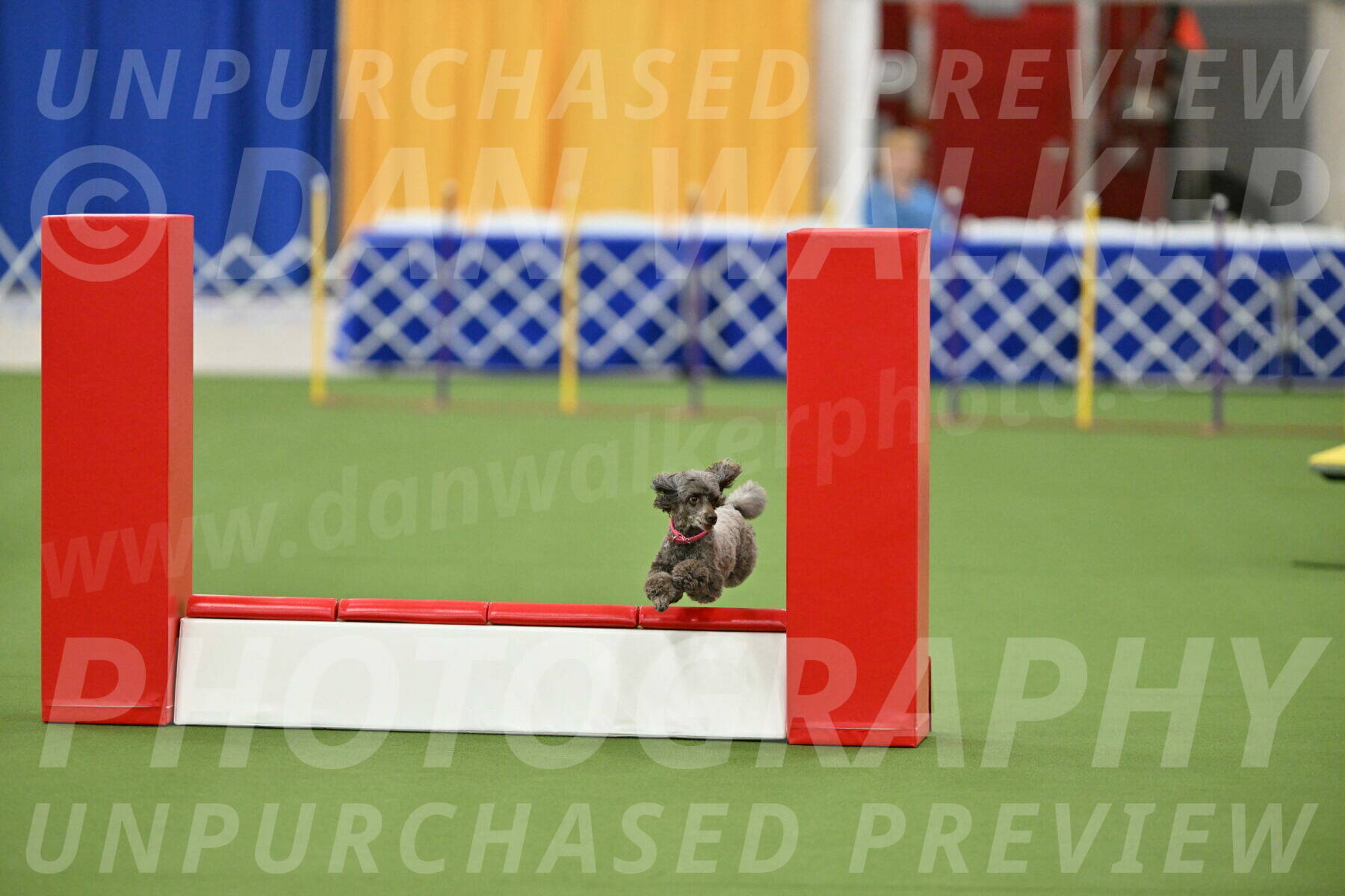 MAS-EX-STD-12-Inch_5194