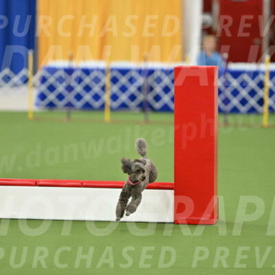 MAS-EX-STD-12-Inch_5195