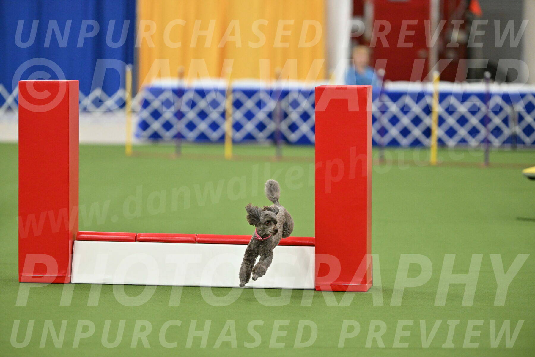 MAS-EX-STD-12-Inch_5195