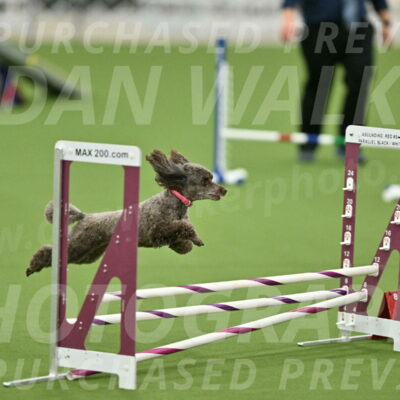 MAS-EX-STD-12-Inch_5200