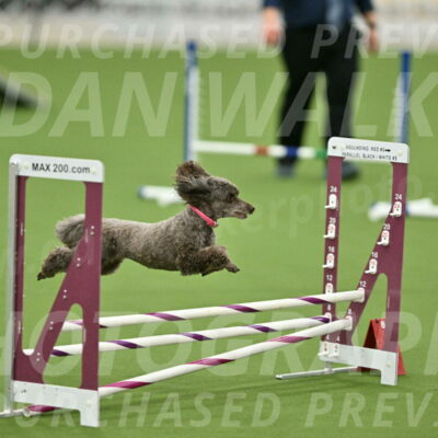 MAS-EX-STD-12-Inch_5201