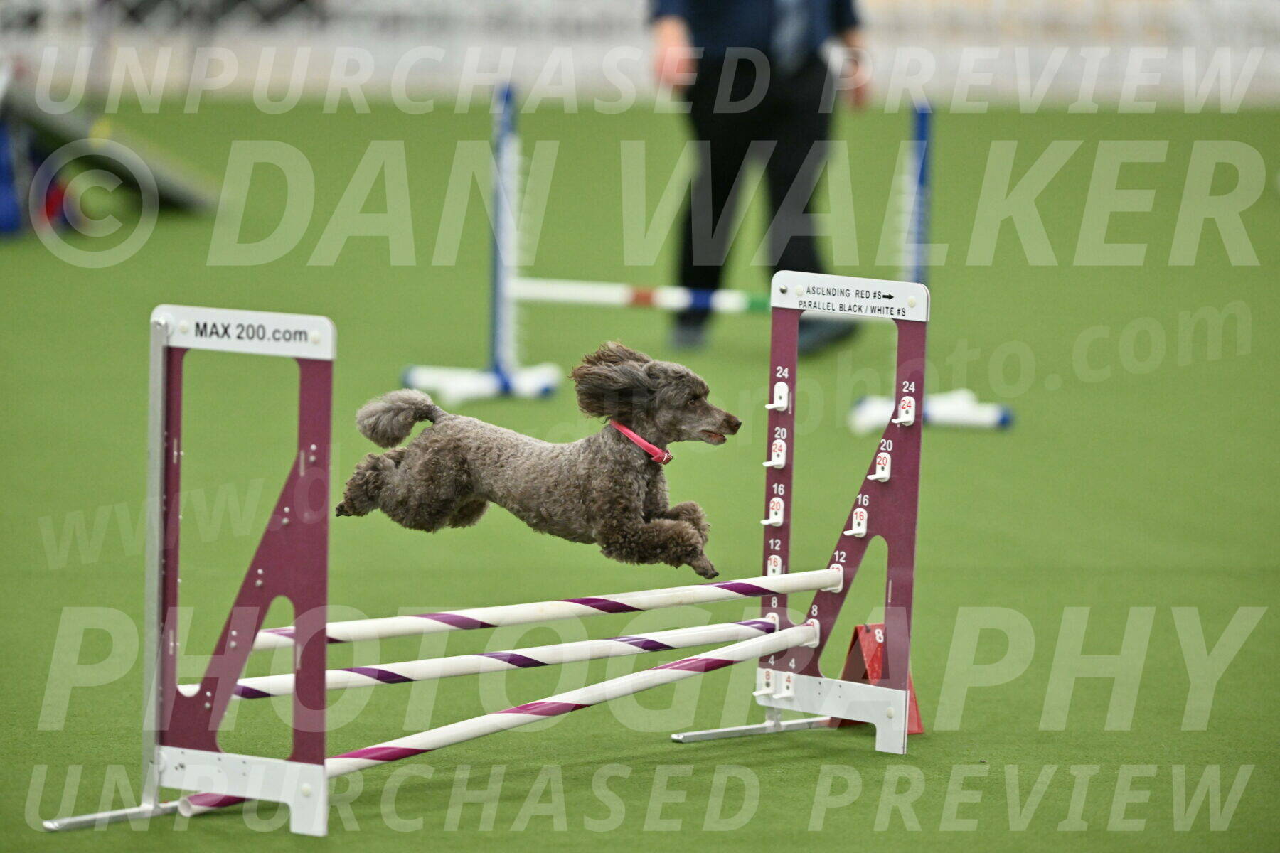 MAS-EX-STD-12-Inch_5202