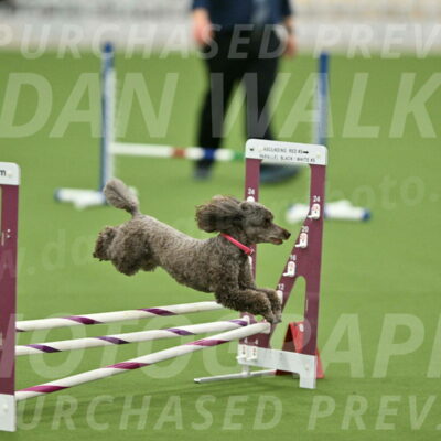 MAS-EX-STD-12-Inch_5203