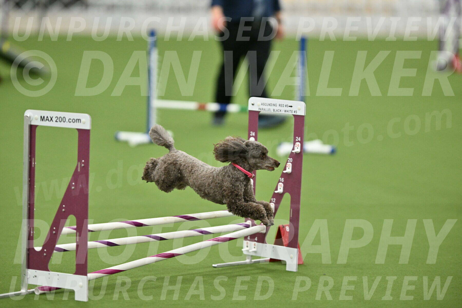 MAS-EX-STD-12-Inch_5203