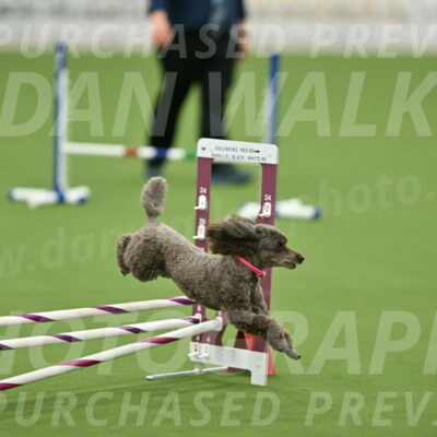 MAS-EX-STD-12-Inch_5204