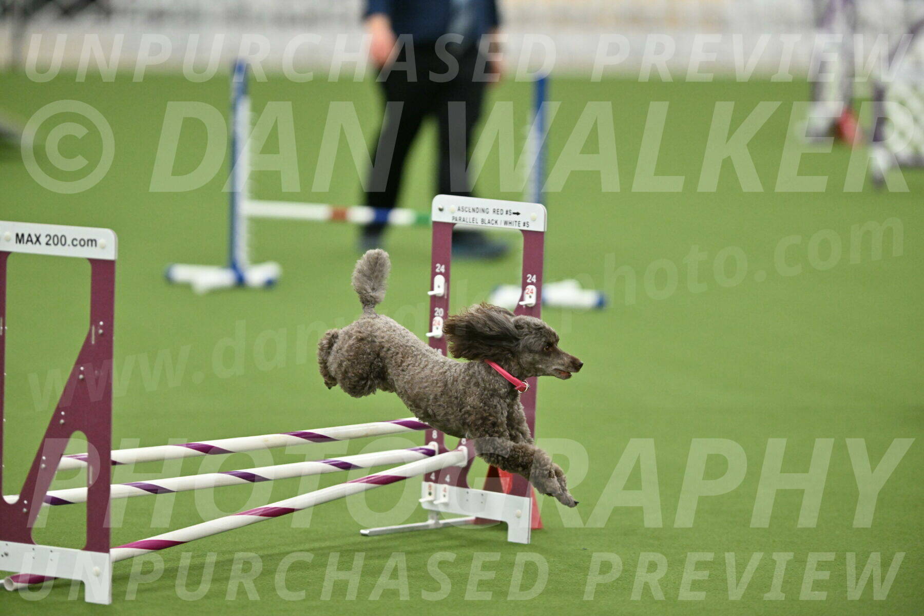 MAS-EX-STD-12-Inch_5204