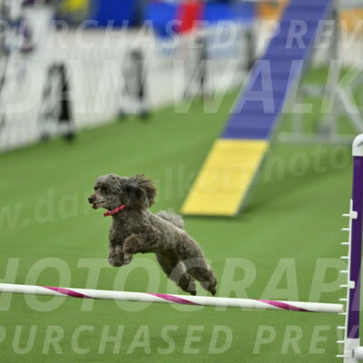 MAS-EX-STD-12-Inch_5215