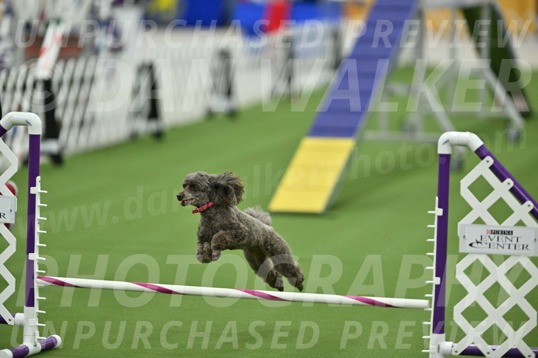 MAS-EX-STD-12-Inch_5215