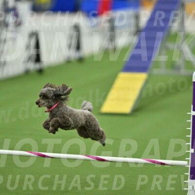 MAS-EX-STD-12-Inch_5216