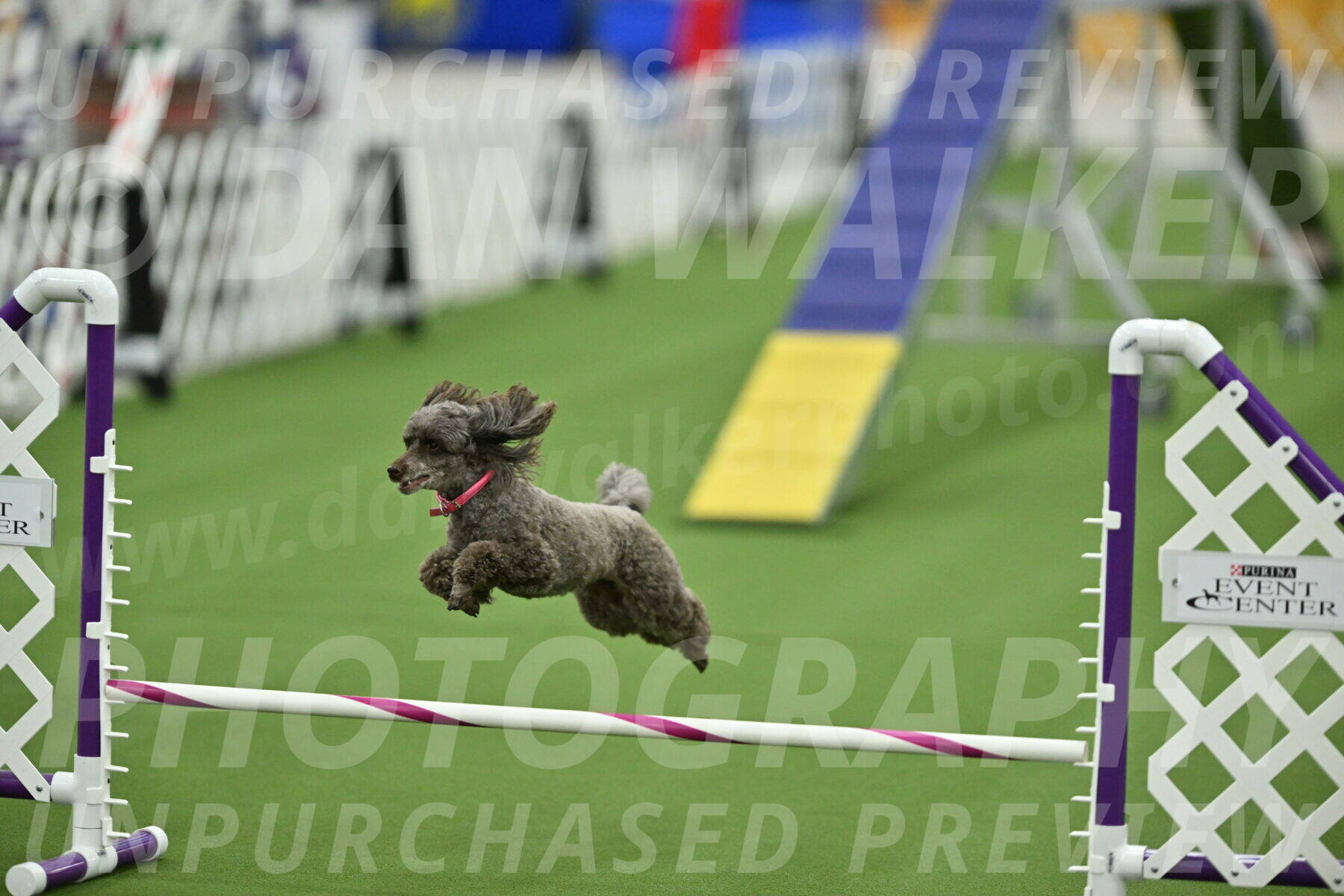 MAS-EX-STD-12-Inch_5216