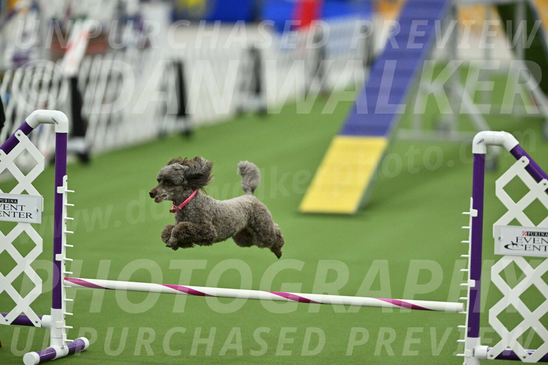 MAS-EX-STD-12-Inch_5217