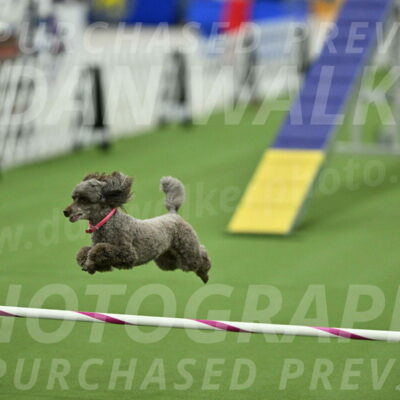 MAS-EX-STD-12-Inch_5217