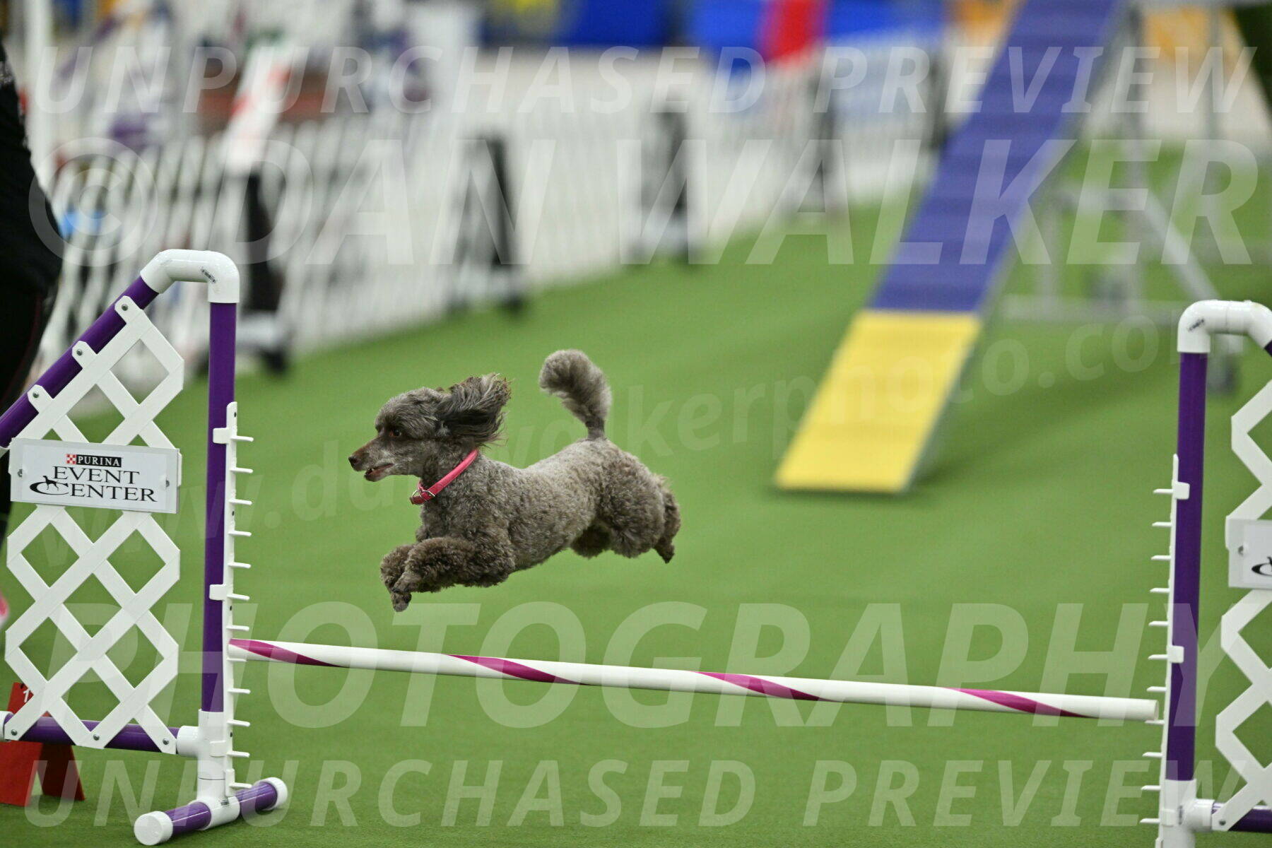 MAS-EX-STD-12-Inch_5218