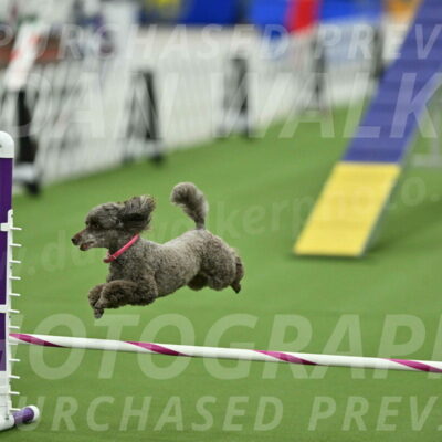 MAS-EX-STD-12-Inch_5218