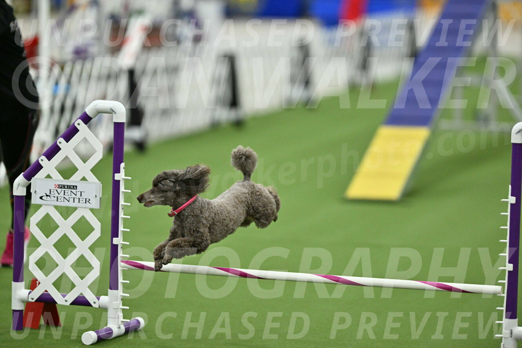 MAS-EX-STD-12-Inch_5219