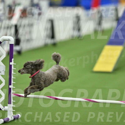 MAS-EX-STD-12-Inch_5219