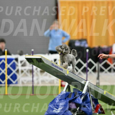 MAS-EX-STD-12-Inch_5228