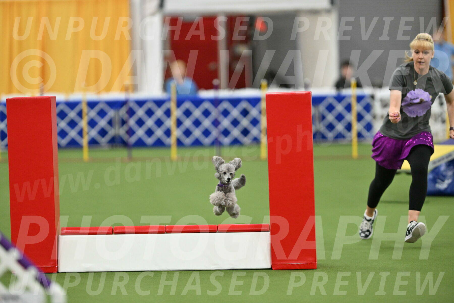 MAS-EX-STD-12-Inch_5237