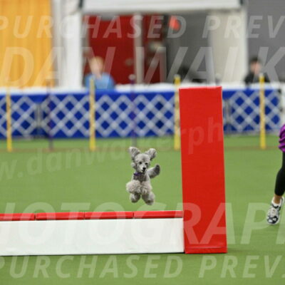 MAS-EX-STD-12-Inch_5237