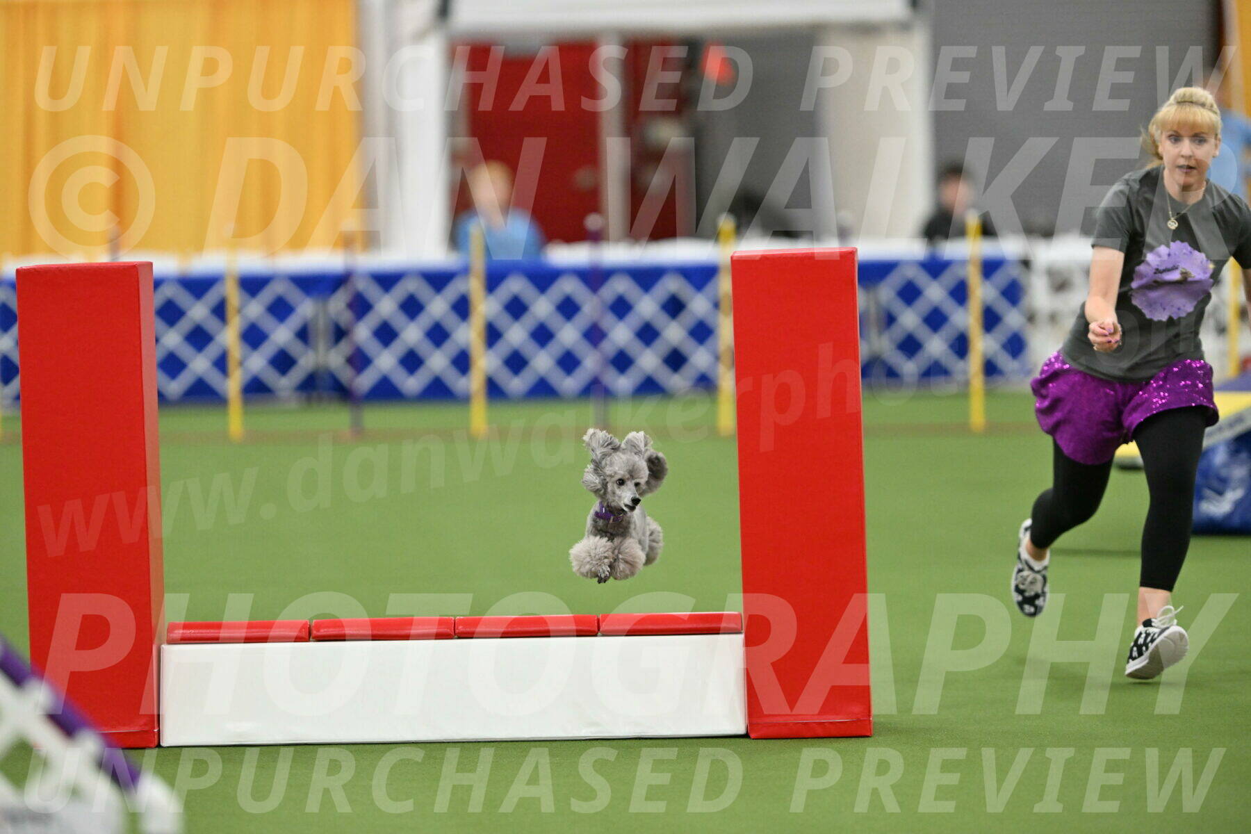 MAS-EX-STD-12-Inch_5238