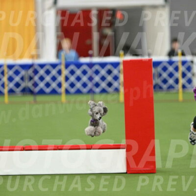 MAS-EX-STD-12-Inch_5238