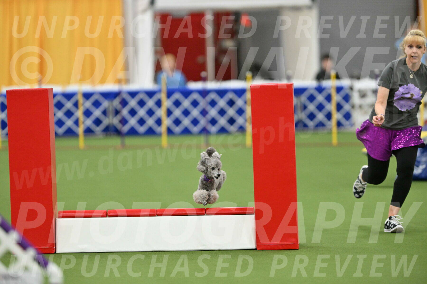 MAS-EX-STD-12-Inch_5239