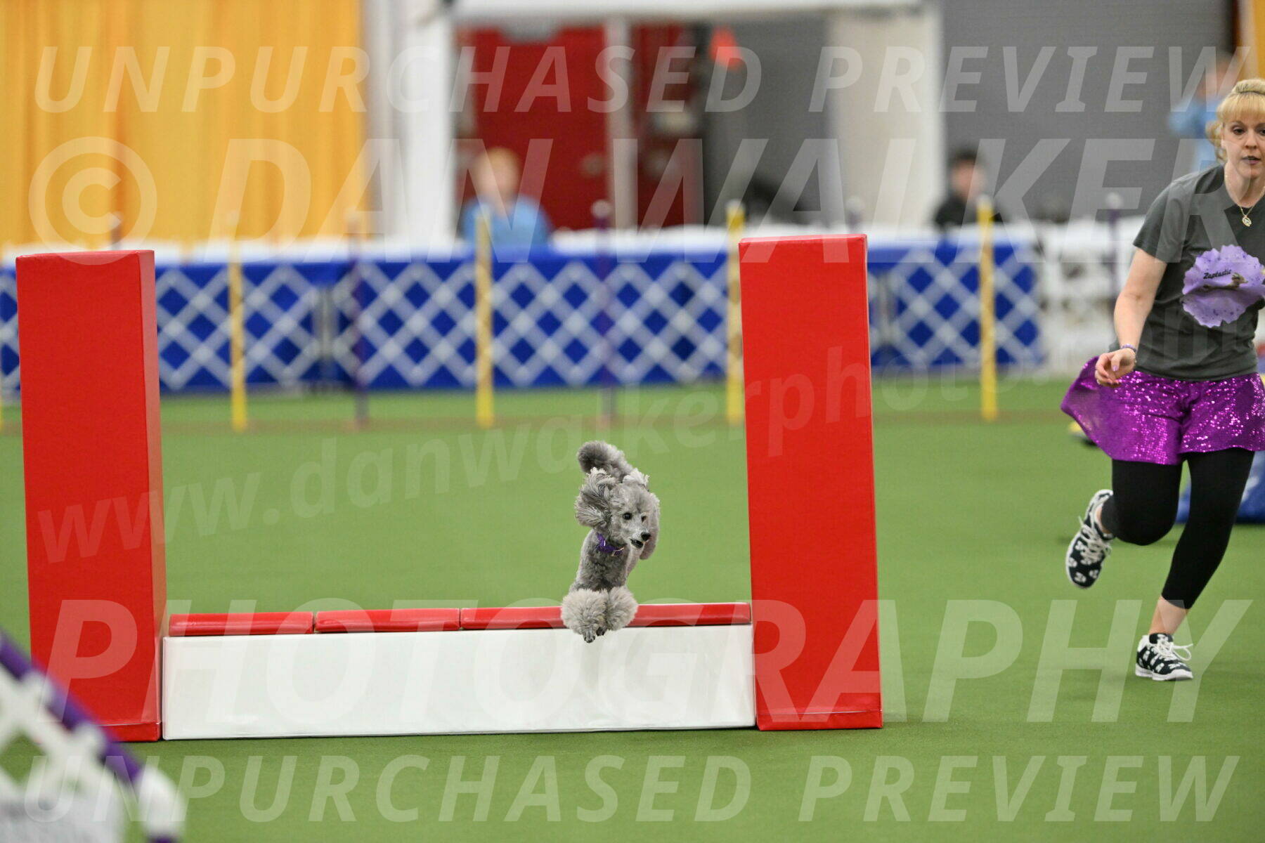 MAS-EX-STD-12-Inch_5240