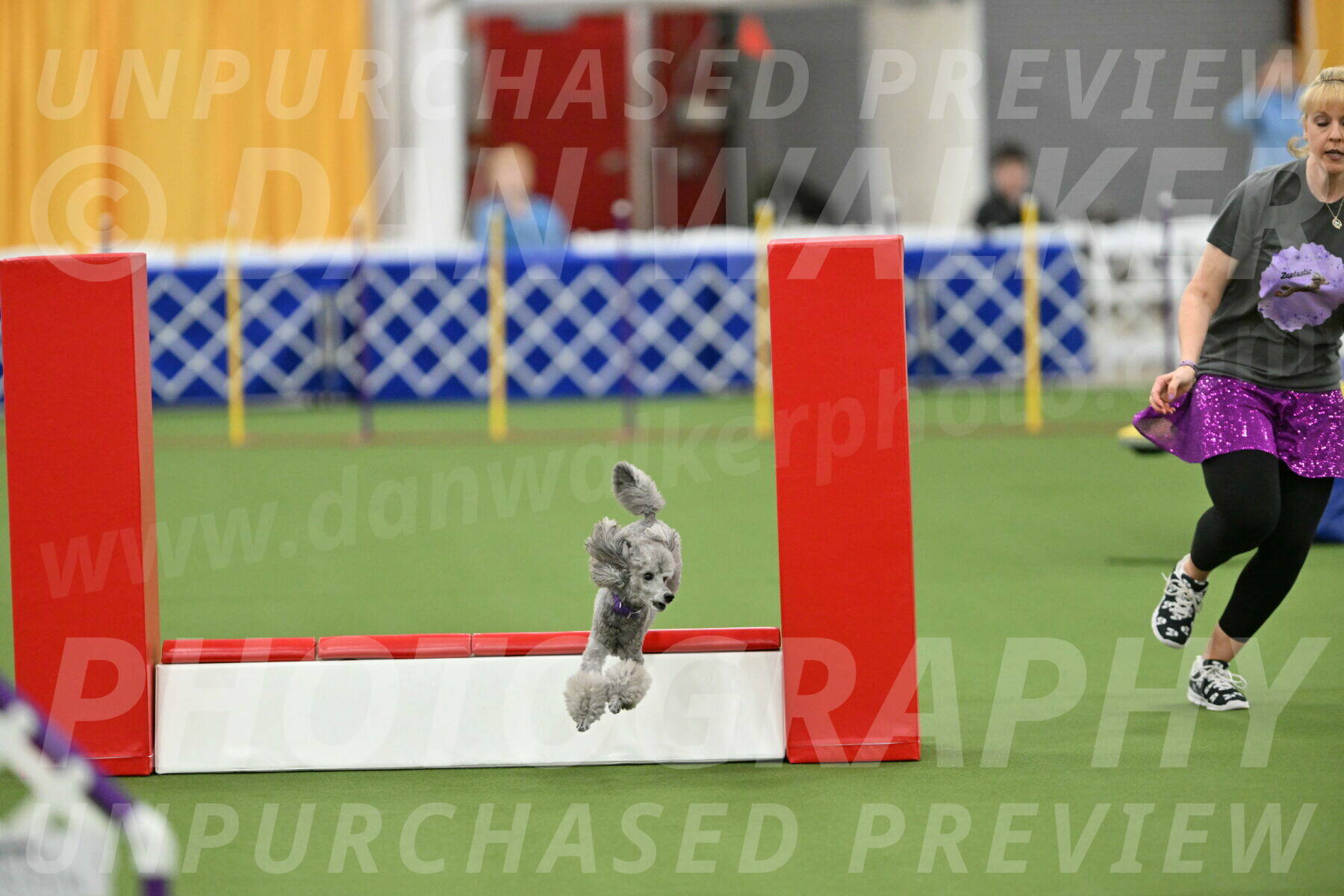 MAS-EX-STD-12-Inch_5241