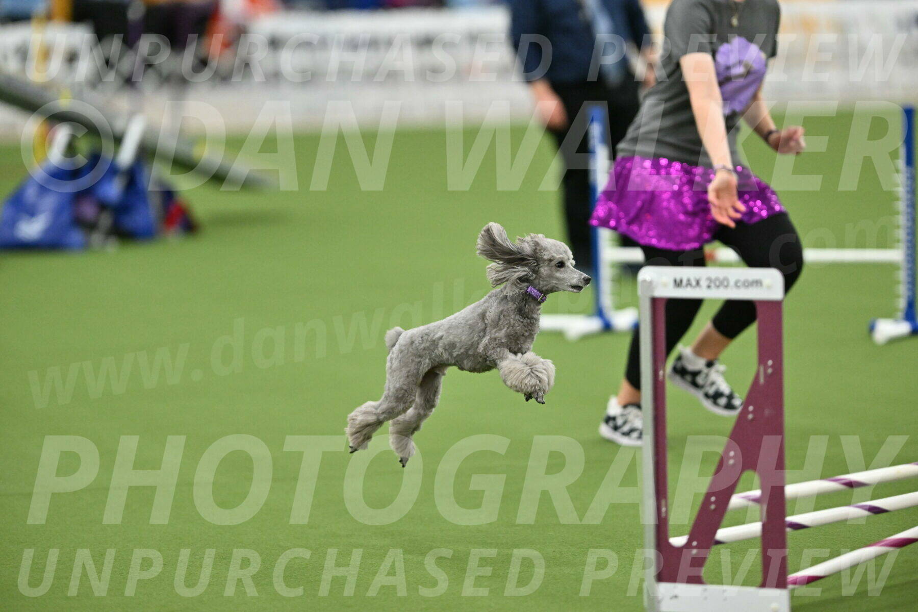 MAS-EX-STD-12-Inch_5242