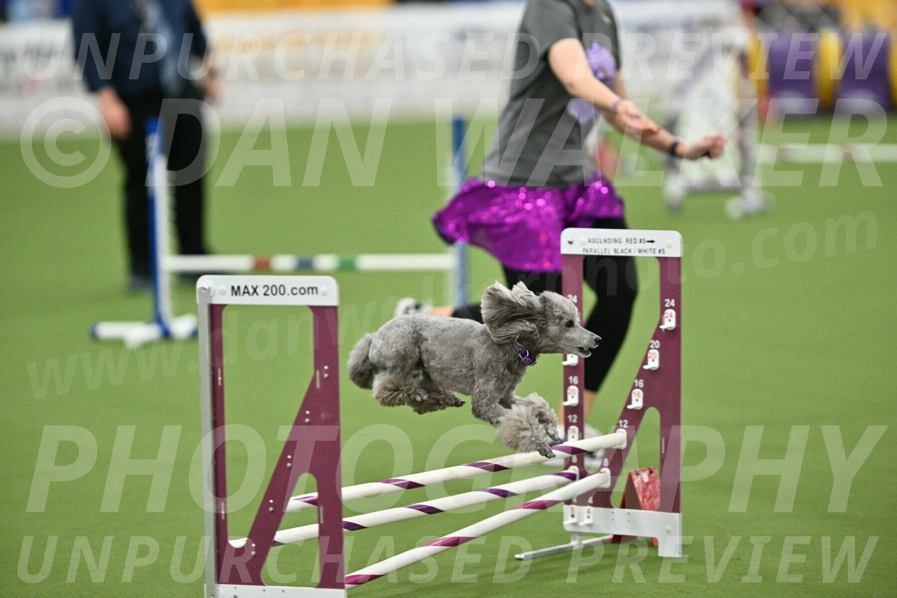 MAS-EX-STD-12-Inch_5247