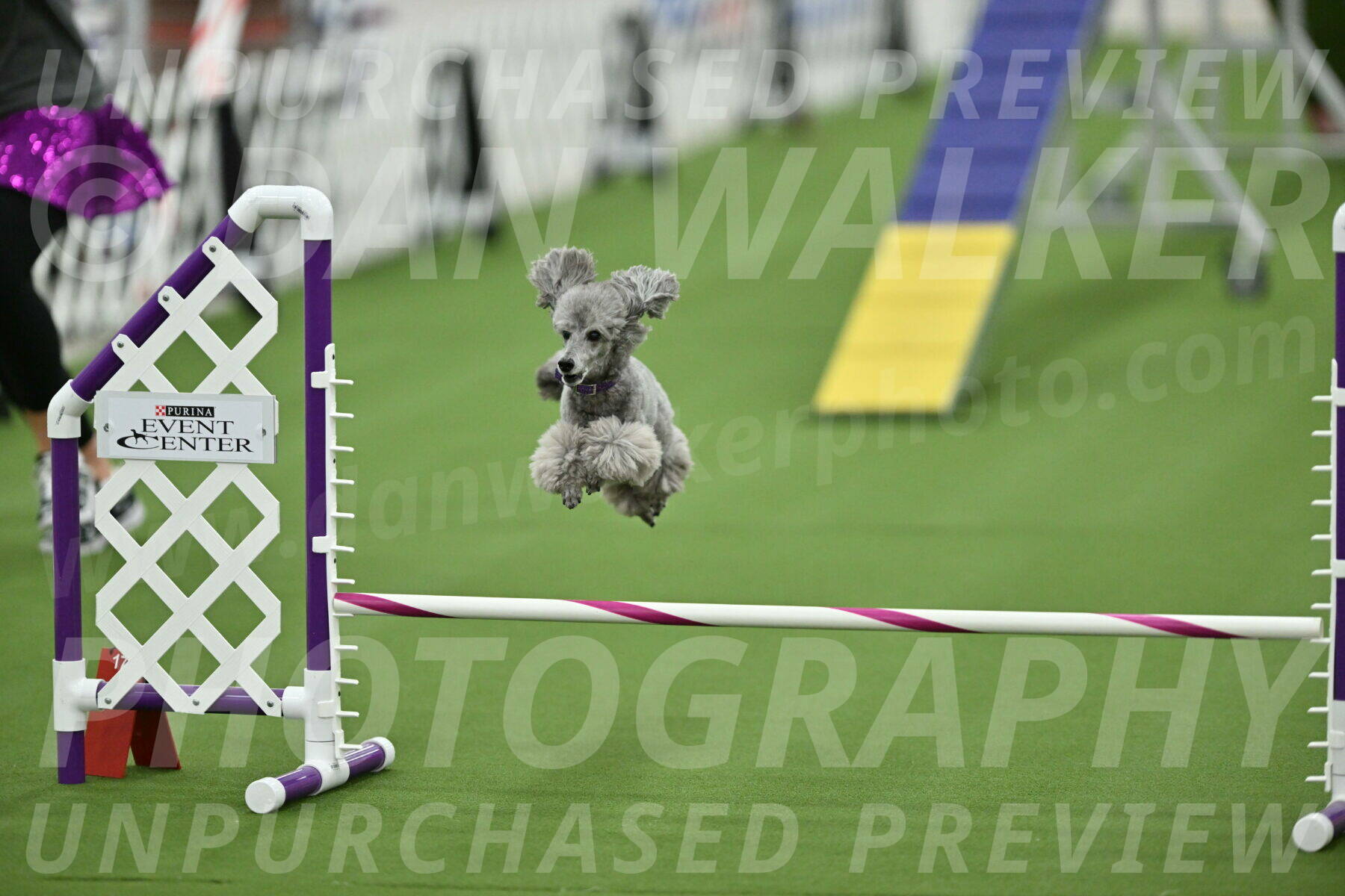 MAS-EX-STD-12-Inch_5270