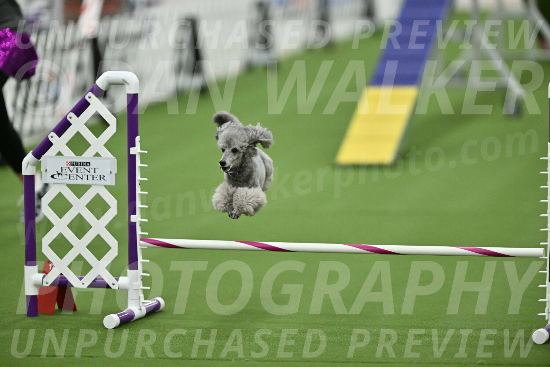 MAS-EX-STD-12-Inch_5271