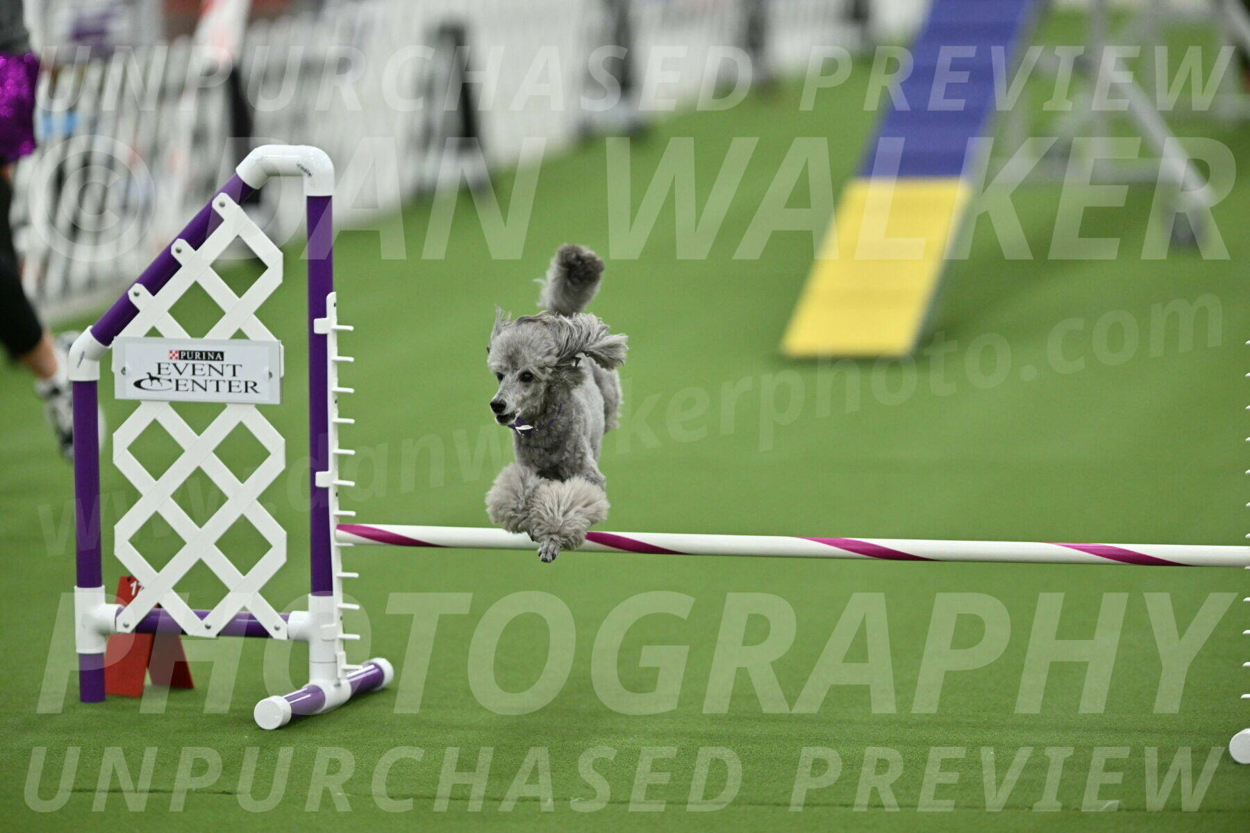 MAS-EX-STD-12-Inch_5272