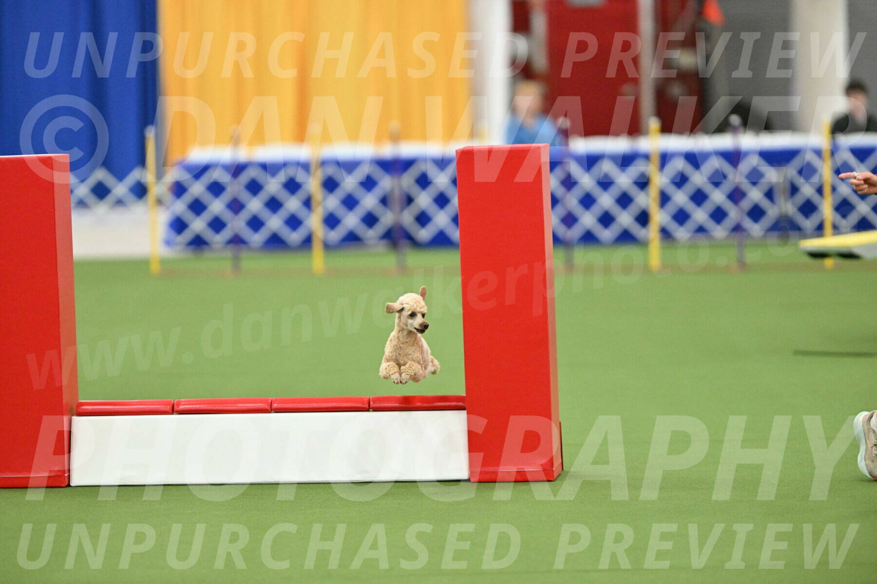 MAS-EX-STD-12-Inch_5294