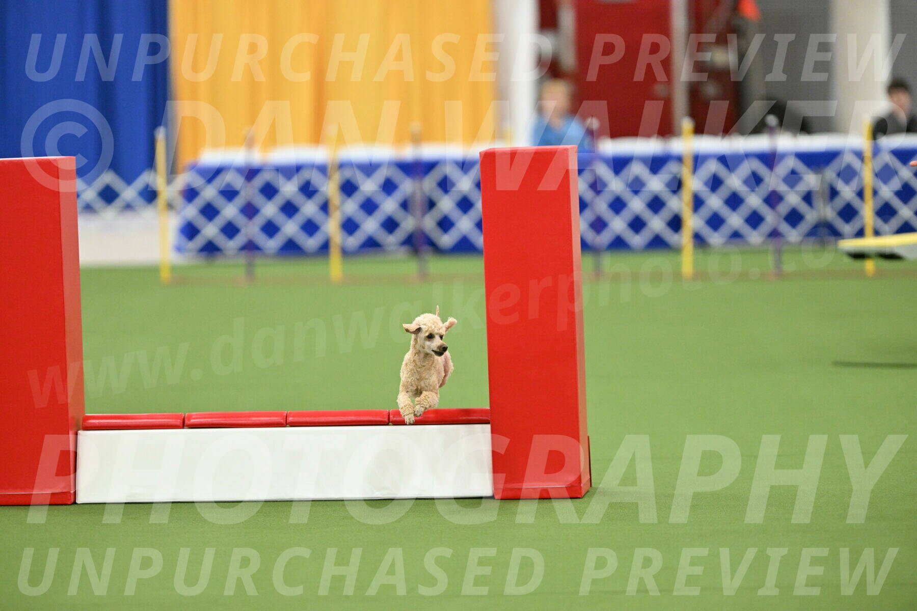 MAS-EX-STD-12-Inch_5295